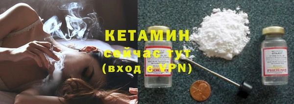 прущие грибы Бородино