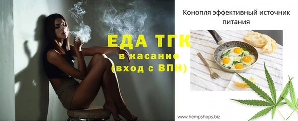 прущие грибы Бородино