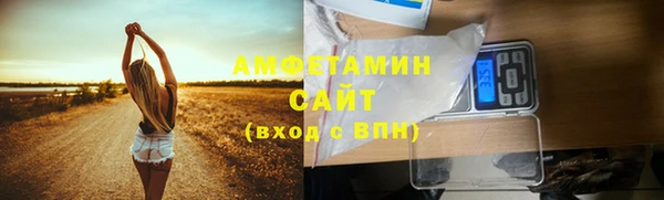 прущие грибы Бородино