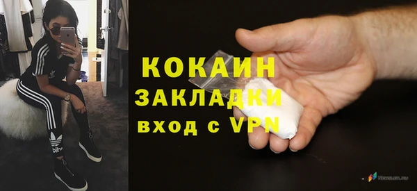 прущие грибы Бородино