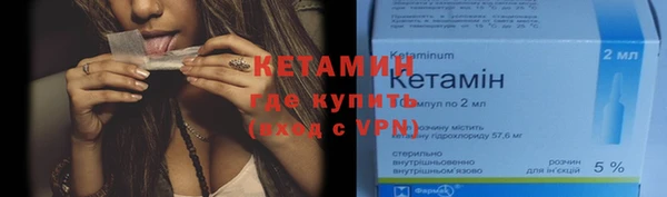 прущие грибы Бородино