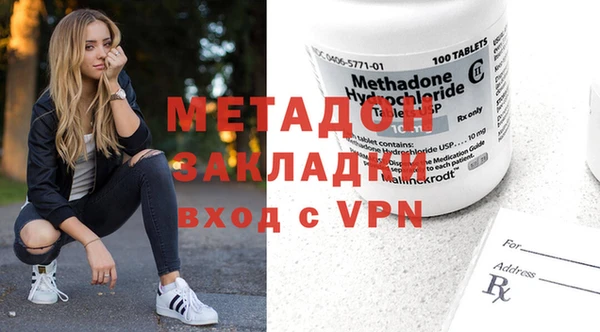 прущие грибы Бородино