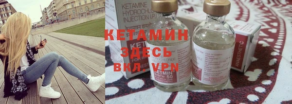 прущие грибы Бородино