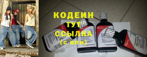 прущие грибы Бородино