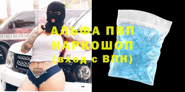 прущие грибы Бородино