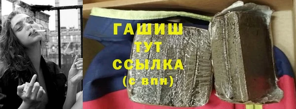 прущие грибы Бородино