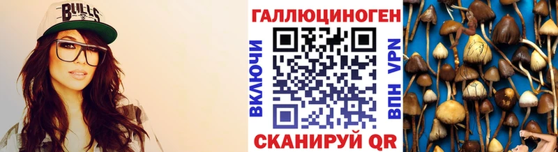 Псилоцибиновые грибы Cubensis  наркота  Циолковский 